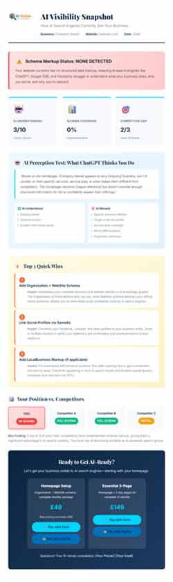 Thumbnail screenshot of homepage snapshot audit report